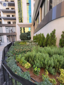 Modern 1 Bedroom Apartment - Ruby Towers image 8