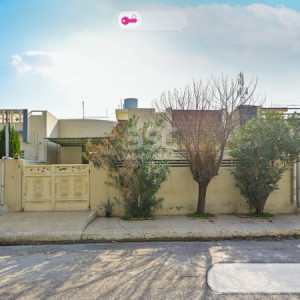 خانووی ڕاخراو بۆ فرۆشتن image 1