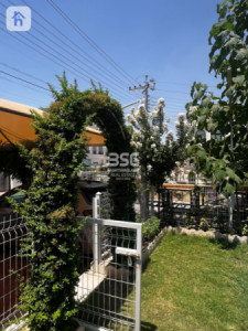 خانووی ڕاخراو بۆ فرۆشتن وێنە 6