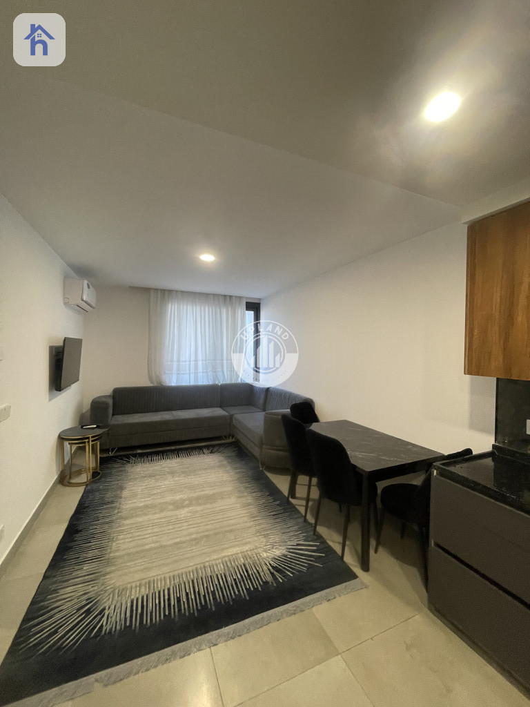 Furnished Apartment For Rent