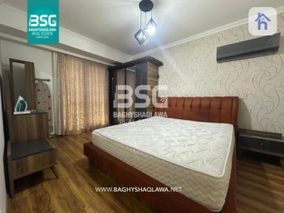 Modern Furnished Apartment Image 3