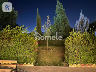 مزرعة واسعة مع أشجار الفاكهة صورة 12