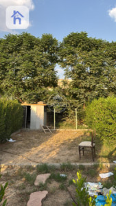 House Opposite Garden image 2
