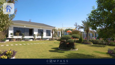 VIP Farm image 12