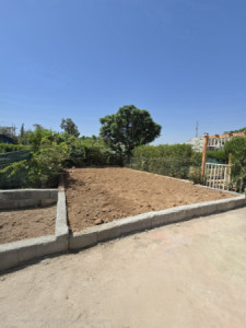 House Opposite Garden image 15
