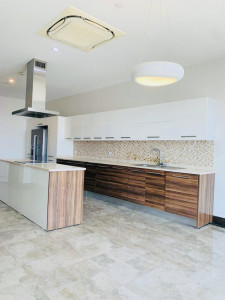 New Penthouse image 1
