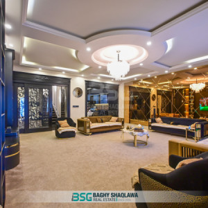 خانووی ڕاخراو بۆ فرۆشتن وێنە 10