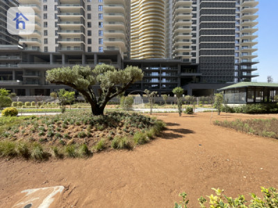 Spacious 3-Bedroom Apartment in Rami Towers image 2