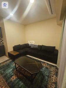 Furnished Apartment image 3