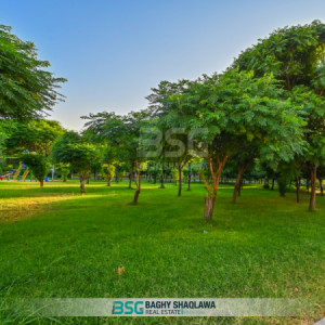 خانووی VIP image 6