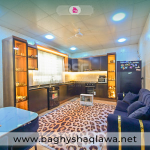 خانووی ڕاخراو بۆ فرۆشتن image 2