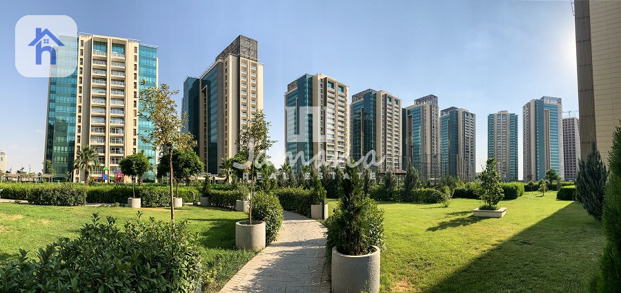 شوقەیەکی فراوان لە ئیمپایەر وینگز