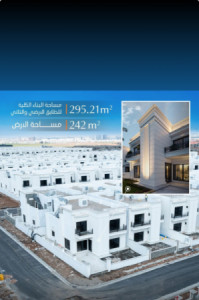 Modern House image 4