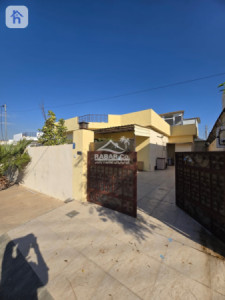 خانوویەکی ئارام لە شاری ئاشتی ٢ image 1