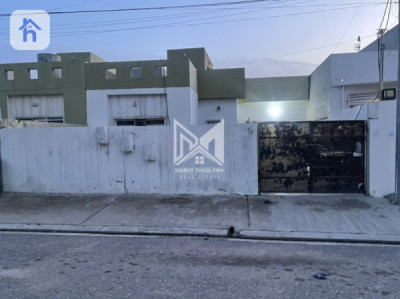 خانووی یەک نهۆمی image 2