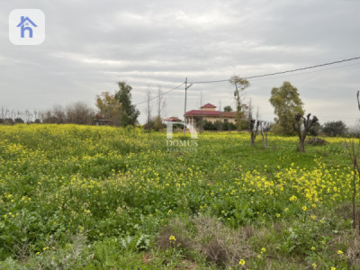 Large Agricultural Plot for Sale image 2