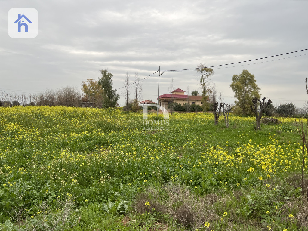 Large Agricultural Plot for Sale Resim 2