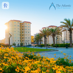 پڕۆژەی ئەتلانتیکی ئەمەریکی image 1