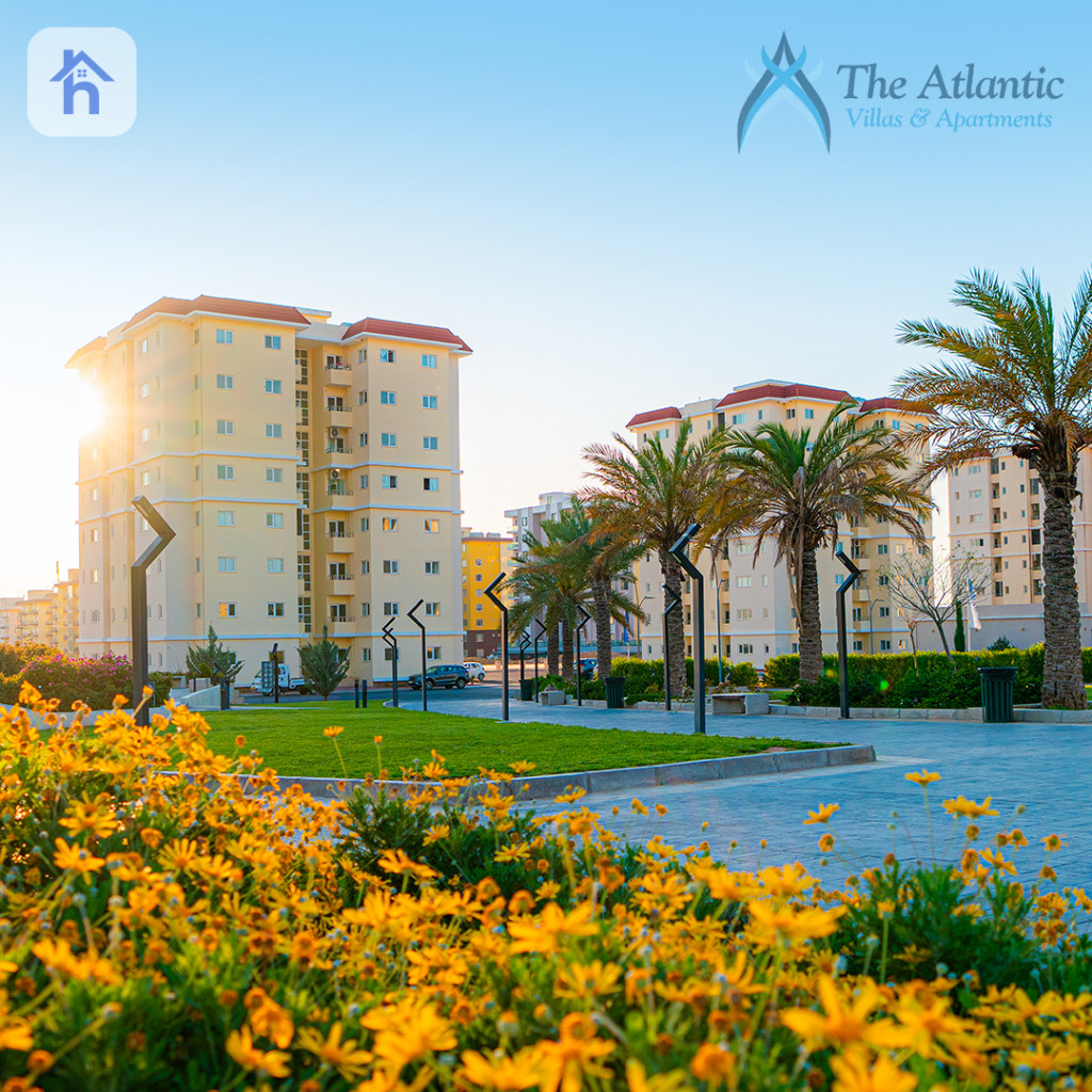 پڕۆژەی ئەتلانتیکی ئەمەریکی