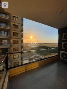 Internal View Apartment image 7