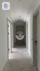 Spacious Apartment in Rami Towers image 3