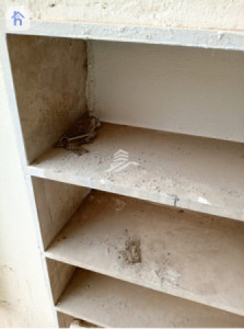 Two Floor House image 6