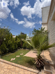 خانووی ڕاخراو بۆ فرۆشتن image 3