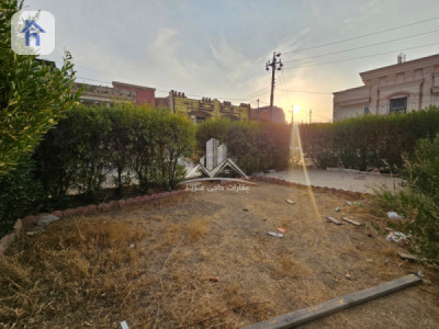 House Opposite Garden Image 4