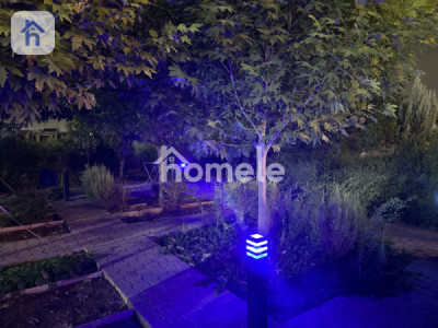 مزرعة واسعة مع أشجار الفاكهة صورة 10