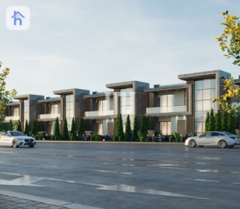 خانووی بازرگانیی ڕوکن وێنە 4