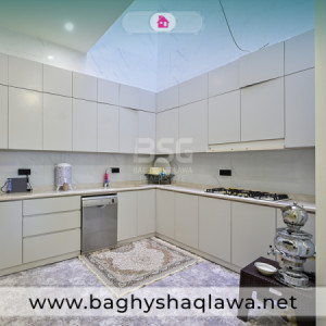 خانووی VIP وێنە 6