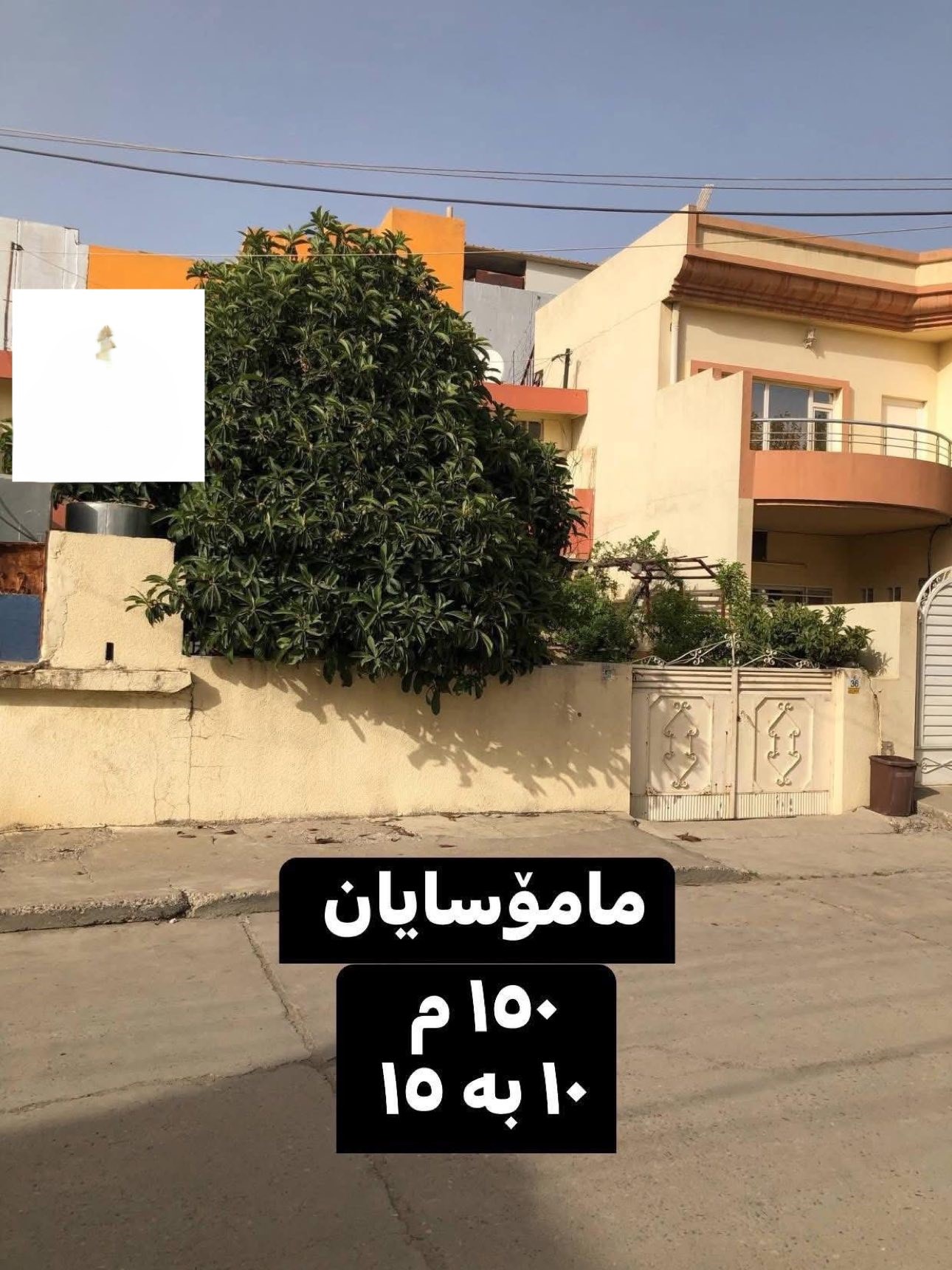 خانووی یەک نهۆمی