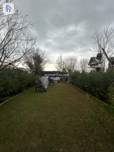 House Opposite Garden image 5