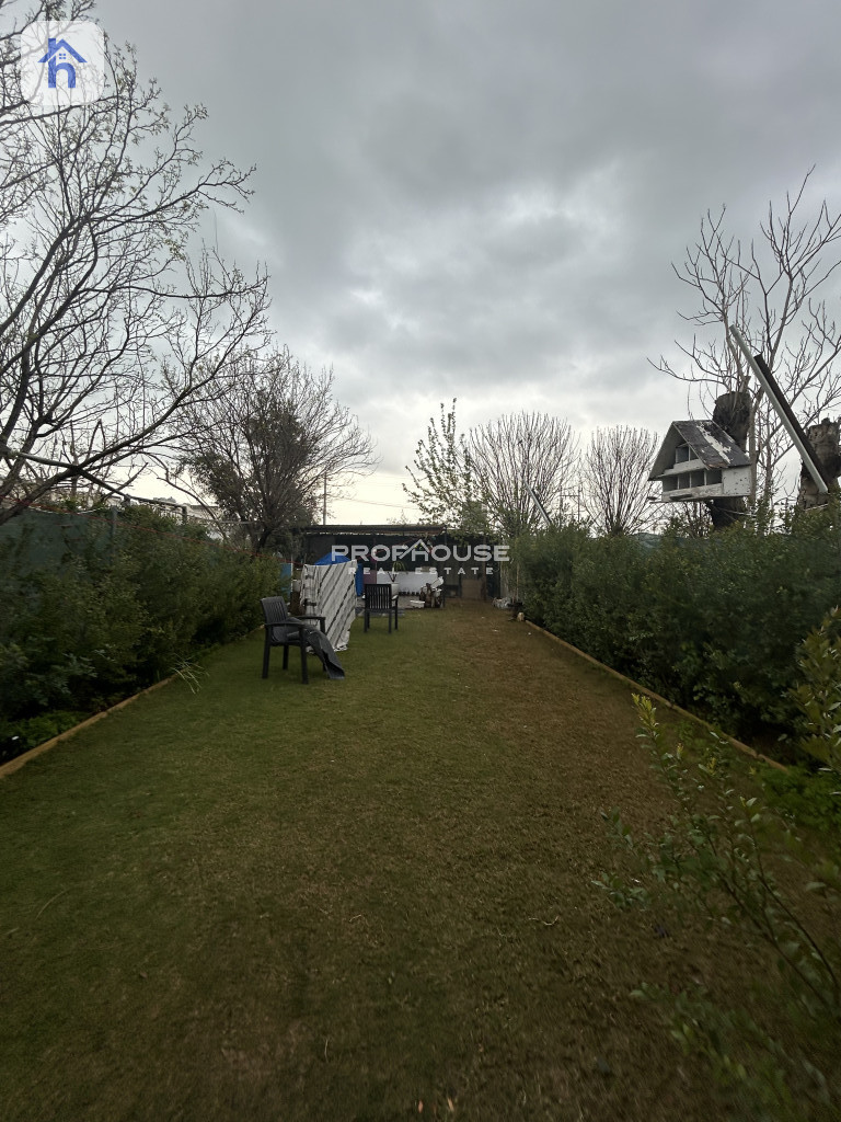 House Opposite Garden Image 5