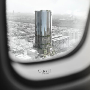 شوقەیەکی فراوان لە تاوەری کاڤالی image 7