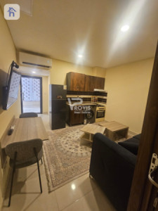 Furnished Apartment For Rent image 2