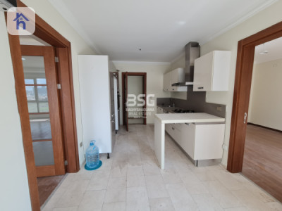 شوقە ڕوو لە باخچە وێنە 7