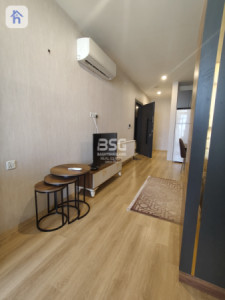Furnished Apartment For Rent Image 4