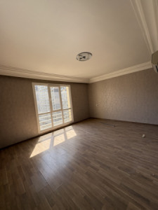 Modern Apartment image 4