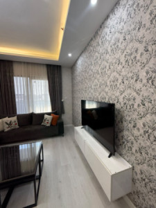 Furnished Apartment For Rent Image 5