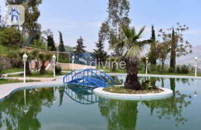 Investment Opportunity with Swimming Pools Image 21