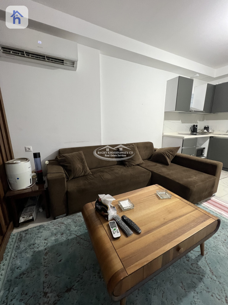 Furnished Apartment For Rent