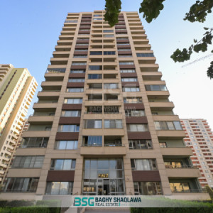 شوقە بۆ فرۆشتن لە جیهان ستی وێنە 4