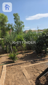 House Opposite Garden image 5