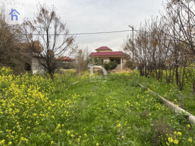 Large Agricultural Plot for Sale image 4