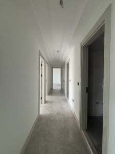 Spacious 3 Bedroom Apartment in Rami Towers image 3
