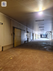 کۆگای سارد بۆ کرێ لە هەولێر image 1