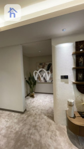 شقة VIP صورة 14
