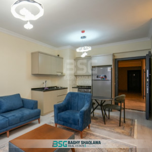 شوقەیەکی مۆدێرن و ئاسوودە بۆ کرێ وێنە 4