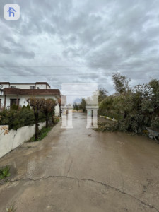 Charming Farmhouse in Peaceful Area Image 4